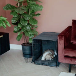 District 70 Crate Bench Hoes -Hondenbenodigdheden district 70 crate cover 191152 0500 none