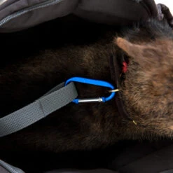 Doctor Bark Dog Carrier Bag -Hondenbenodigdheden doctor bark honden draagtas 202157 1500 none