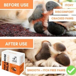 Dogslife Paw & Nose Balm -Hondenbenodigdheden dogslife paw nose balm 219825 0500 none