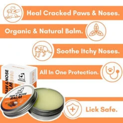Dogslife Paw & Nose Balm -Hondenbenodigdheden dogslife paw nose balm 219827 0500 none