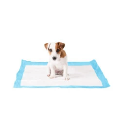 Duvo+ Puppy Pads -Hondenbenodigdheden duvo puppy pads large 50 stuks 108439 1000 none