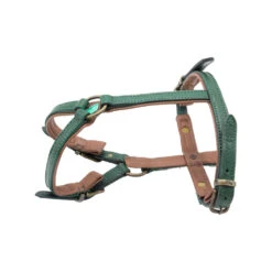 DWAM Hondentuigje Ivy -Hondenbenodigdheden dwam hondentuigje ivy 182737 1000 none