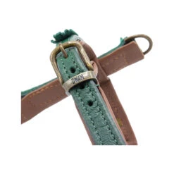 DWAM Hondentuigje Ivy -Hondenbenodigdheden dwam hondentuigje ivy 182740 1000 none