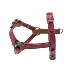 DWAM Hondentuigje Lou Lou 15 DWAM Hondentuigje Lou Lou -Hondenbenodigdheden dwam hondentuigje lou lou 182155 1000 none