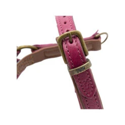 DWAM Hondentuigje Lou Lou 16 DWAM Hondentuigje Lou Lou -Hondenbenodigdheden dwam hondentuigje lou lou 182158 1000 none