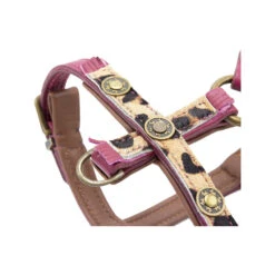 DWAM Hondentuigje Lou Lou 17 DWAM Hondentuigje Lou Lou -Hondenbenodigdheden dwam hondentuigje lou lou 182161 1000 none