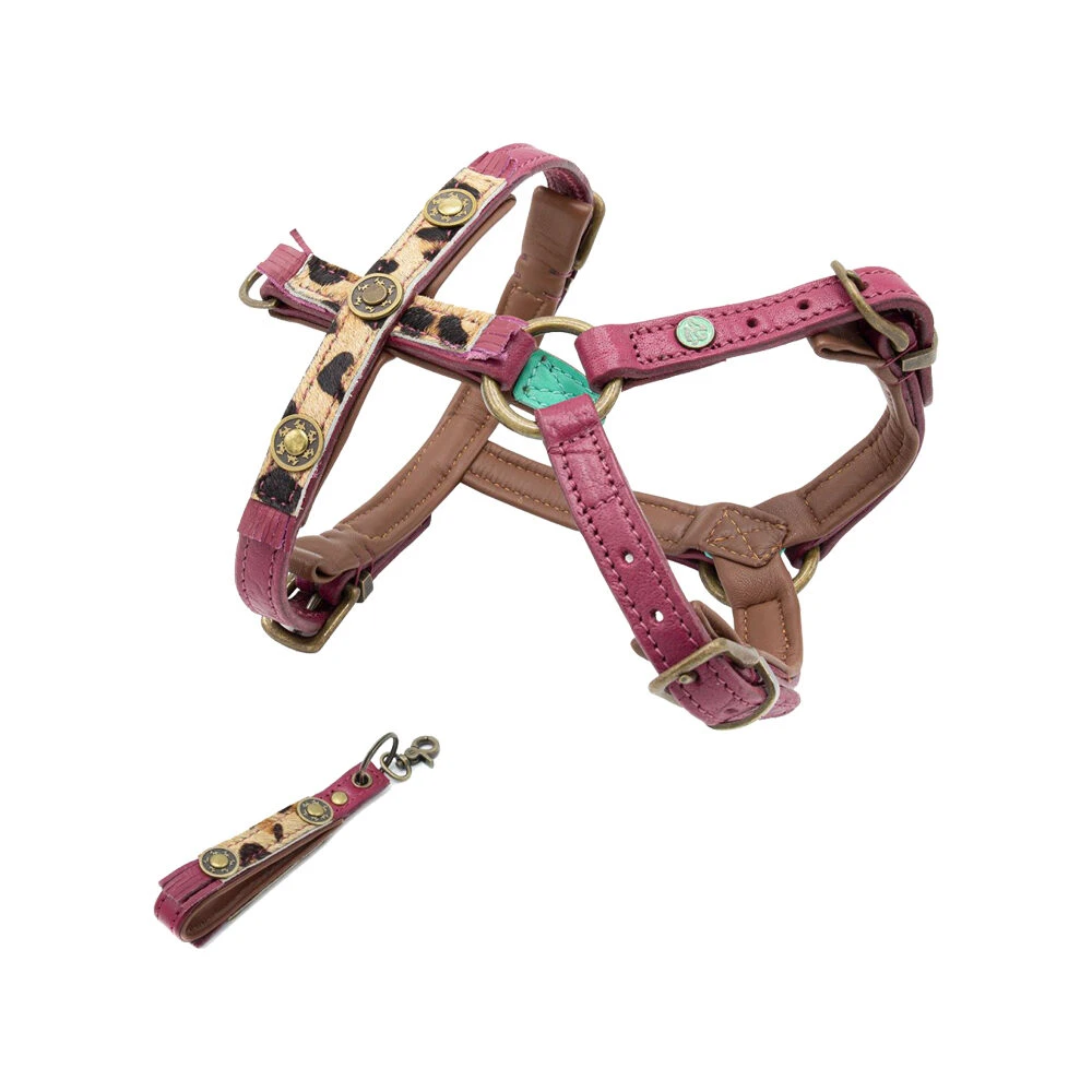 DWAM Hondentuigje Lou Lou 3 DWAM Hondentuigje Lou Lou