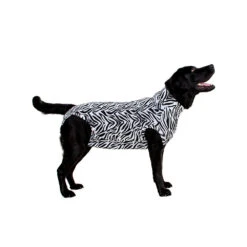 Medical Pet Shirt Hond Zebra Print 17 Medical Pet Shirt Hond Zebra Print -Hondenbenodigdheden e007208fbbe795d8e9786d089599e9976ffba393173f3386c8410a12fe012f24 3