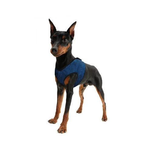 Aqua Coolkeeper Comfy Harness 14 Aqua Coolkeeper Comfy Harness - Afbeelding 12