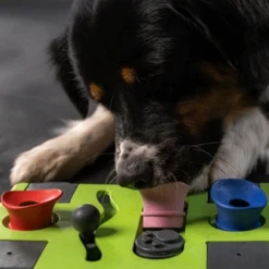 Eat Slow Live Longer Puzzle Antischrok Voerbak 21 Eat Slow Live Longer Puzzle Antischrok Voerbak -Hondenbenodigdheden eat slow live longer puzzle antischrok voerbak 220720 0500 none