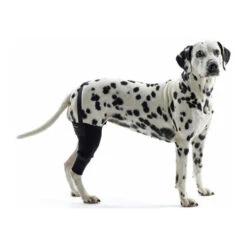 Kruuse Rehab Kniebeschermer 30 Kruuse Rehab Kniebeschermer -Hondenbenodigdheden ebd5586684e37c2c51e25c660fc760427a91e660fab24c8bc737bbaba85c86a2 3