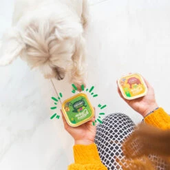 Edgard & Cooper Adult - Lam & Rund - Kuipje -Hondenbenodigdheden edgard cooper adult lam rund kuipje 168636 2000 none