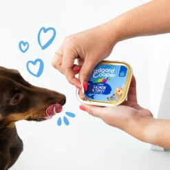 Edgard & Cooper Adult - Zalm & Kalkoen - Kuipje -Hondenbenodigdheden edgard cooper adult zalm kalkoen kuipje 208616 1000 none