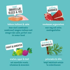 Edgard & Cooper Adult - Zalm & Kalkoen - Kuipje -Hondenbenodigdheden edgard cooper adult zalm kalkoen kuipje 208619 1000 none