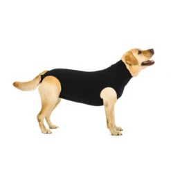 Suitical Recovery Suit Hond - Zwart 20 Suitical Recovery Suit Hond - Zwart -Hondenbenodigdheden fa0e13e2f13f2afe2f8a442d3d97741f85bfcf8eec1c0a1780b298b92bca02aa 3