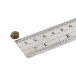 Fish4Dogs Finest Puppy Zalm Met Zoete Aardappel 25 Fish4Dogs Finest Puppy Zalm Met Zoete Aardappel -Hondenbenodigdheden fish4dogs finest puppy zalm met zoete aardappel 210314 1000 none