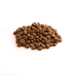 Fish4Dogs Finest Puppy Zalm Met Zoete Aardappel 24 Fish4Dogs Finest Puppy Zalm Met Zoete Aardappel -Hondenbenodigdheden fish4dogs finest puppy zalm met zoete aardappel 210320 2000 none