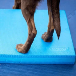FitPAWS Balance Pad -Hondenbenodigdheden fitpaws balance pad 176131 0500 none