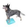 FitPAWS Balance Ramp 1 FitPAWS Balance Ramp -Hondenbenodigdheden fitpaws balance ramp 35 cm 106690 1500 none