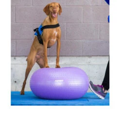 Hondenbenodigdheden -Hondenbenodigdheden fitpaws trax donut 103252 0500 none