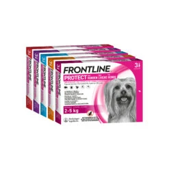 Frontline Protect Hond Spot On 23 Frontline Protect Hond Spot On -Hondenbenodigdheden frontline protect hond spot on 192809 2000 none