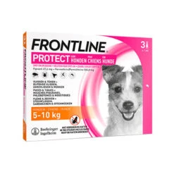 Frontline Protect Hond Spot On 26 Frontline Protect Hond Spot On -Hondenbenodigdheden frontline protect hond spot on 192812 0500 none