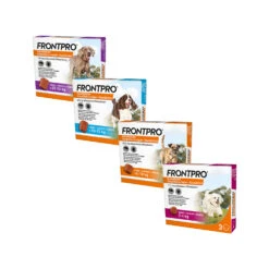 FRONTPRO Kauwtabletten Hond -Hondenbenodigdheden frontpro kauwtabletten hond 219039 1500 none