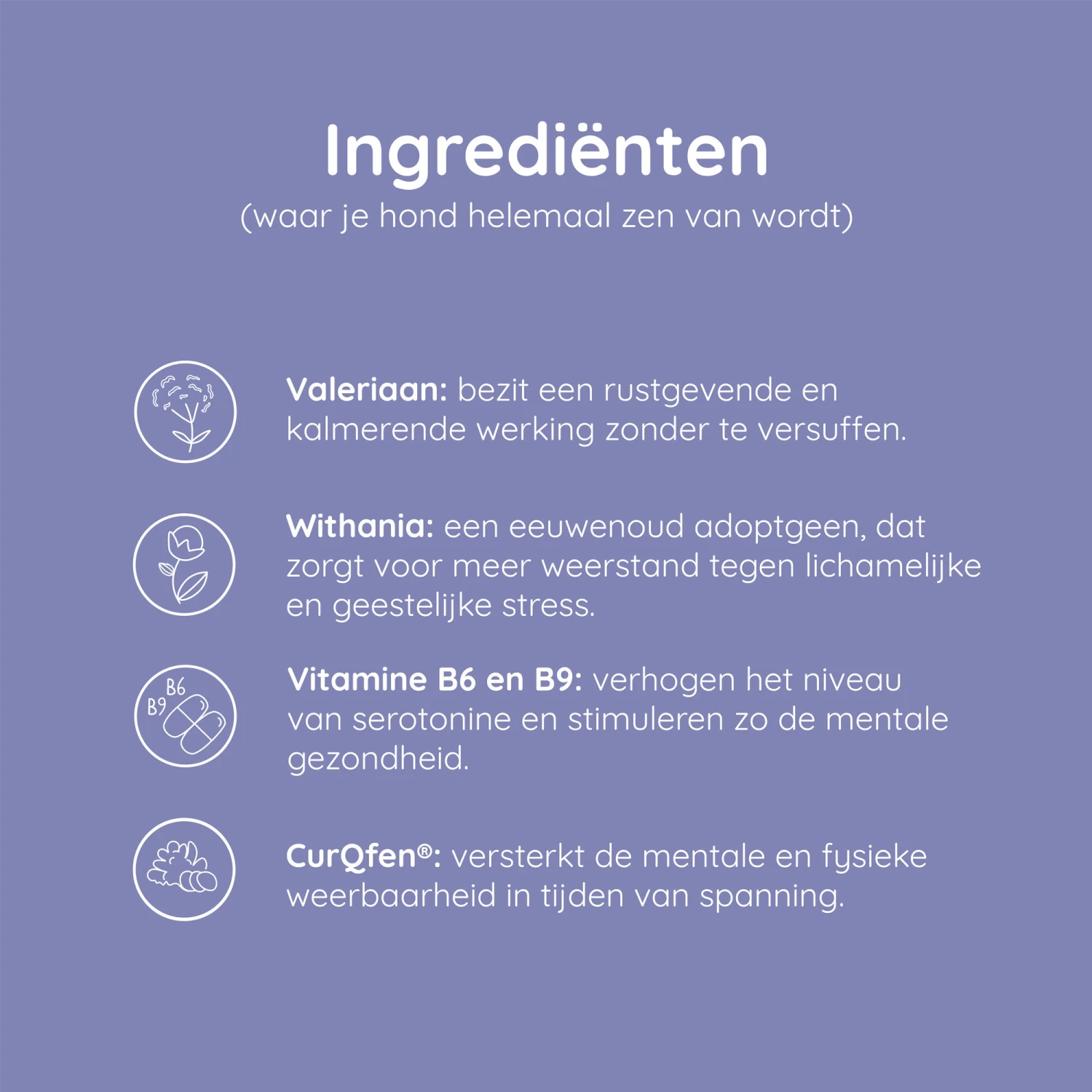 Greenfields Calm+ 8 Greenfields Calm+ - Afbeelding 6