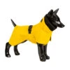 PAIKKA Visibility Raincoat Lite Yellow -Hondenbenodigdheden gv9AijAliylv48Hj2AQT3OpPMfpjKX metaUGFpa2thLVZpc2liaWxpdHktUmFpbmNvYXQtTGl0ZS1ZZWxsb3cyLmpwZw