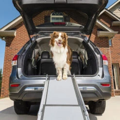 Happy Ride Telescoping Pet Ramp Deluxe -Hondenbenodigdheden happy ride telescoping pet ramp deluxe 162499 1000 none