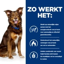 Hill's Prescription Diet Metabolic Weight Management - Canine - Lam & Rijst 17 Hill's Prescription Diet Metabolic Weight Management - Canine - Lam & Rijst -Hondenbenodigdheden hills prescription diet metabolic weight management canine lam rijst 212681 2000 none