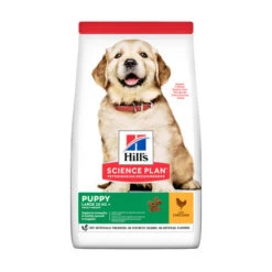 Hill's Science Plan - Large Puppy 13 Hill's Science Plan - Large Puppy -Hondenbenodigdheden hills science plan puppy large breed chicken 12 kg 105616 0500 none 1