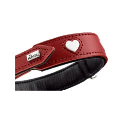 Hunter Collar Love -Hondenbenodigdheden hunter collar love 223467 1000 none