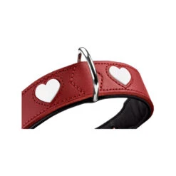 Hunter Collar Love -Hondenbenodigdheden hunter collar love 223468 1000 none