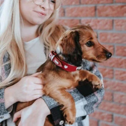 Hunter Collar Love -Hondenbenodigdheden hunter collar love 223472 1000 none