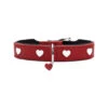 Hunter Collar Love 2 Hunter Collar Love -Hondenbenodigdheden hunter collar love 37xs s 137815 1000 none