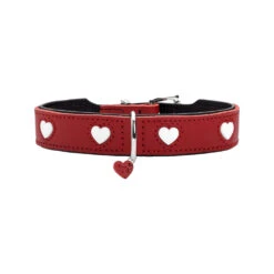 Hunter Collar Love -Hondenbenodigdheden hunter collar love 65l 137821 1000 none