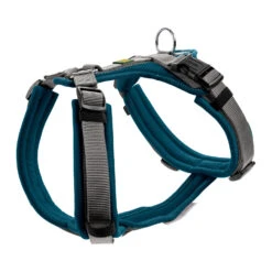Hunter Harness Maldon -Hondenbenodigdheden hunter harness maldon s m 37 53 cm tealgrijs 138087 1500 none