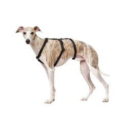 Hunter Vario Rapid Veiligheidsharnas -Hondenbenodigdheden hunter vario rapid veiligheidsharnas zwart 169501 0500 none