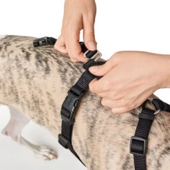 Hunter Vario Rapid Veiligheidsharnas -Hondenbenodigdheden hunter vario rapid veiligheidsharnas zwart 169504 0500 none