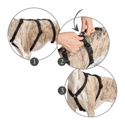 Hunter Vario Rapid Veiligheidsharnas -Hondenbenodigdheden hunter vario rapid veiligheidsharnas zwart 169510 0500 none