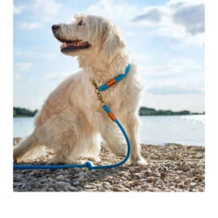 Hunter Verstelbare Riem Oss -Hondenbenodigdheden hunter verstelbare riem oss 116580 0500 none