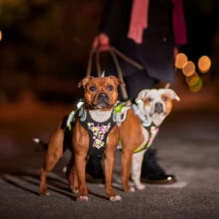 Hurtta Weekend Warrior Harnas - Neon Licorice 28 Hurtta Weekend Warrior Harnas - Neon Licorice -Hondenbenodigdheden hurtta weekend warrior harnas neon licorice 216598 2000 none