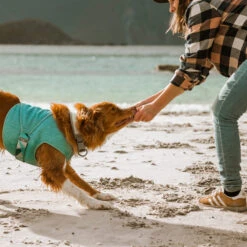 Hurtta Cooling Wrap - Lichtblauw 23 Hurtta Cooling Wrap - Lichtblauw -Hondenbenodigdheden hurtta cooling wrap lichtblauw 178456 2000 none