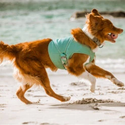 Hurtta Cooling Wrap - Lichtblauw 22 Hurtta Cooling Wrap - Lichtblauw -Hondenbenodigdheden hurtta cooling wrap lichtblauw 178462 2000 none