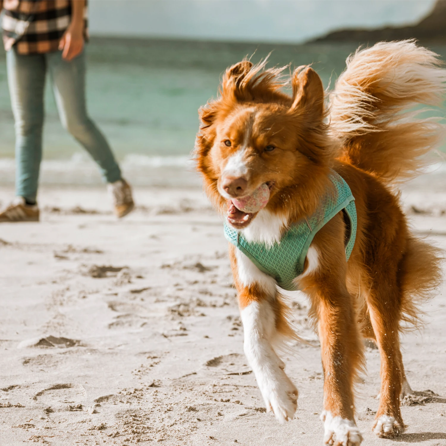 Hurtta Cooling Wrap - Lichtblauw 14 Hurtta Cooling Wrap - Lichtblauw - Afbeelding 12