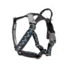 Hurtta Razzle Dazzle Y-Harness - Blackberry 2 Hurtta Razzle Dazzle Y-Harness - Blackberry -Hondenbenodigdheden hurtta razzle dazzle harness blackberry 3545 cm 106516 2000 none
