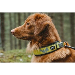 Hurtta Weekend Warrior Collar -Hondenbenodigdheden hurtta weekend warrior collar 189090 0500 none