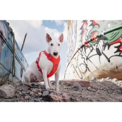 Hurtta Weekend Warrior Eco Harness 30 Hurtta Weekend Warrior Eco Harness -Hondenbenodigdheden hurtta weekend warrior eco harness 189132 0500 none