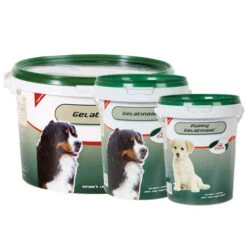 PrimeVal Gelatinaat Hond 17 PrimeVal Gelatinaat Hond -Hondenbenodigdheden i3ewZQGiFVpG0UJLqYGv5CJkXTkGFs metaaW5mb3JtYXRpZV9vdmVyX19iZXN0ZWxsZW5fbWVkcGV0c19ubF80XzEzNjE3ODU3OTFfNjY0MS5qcGc